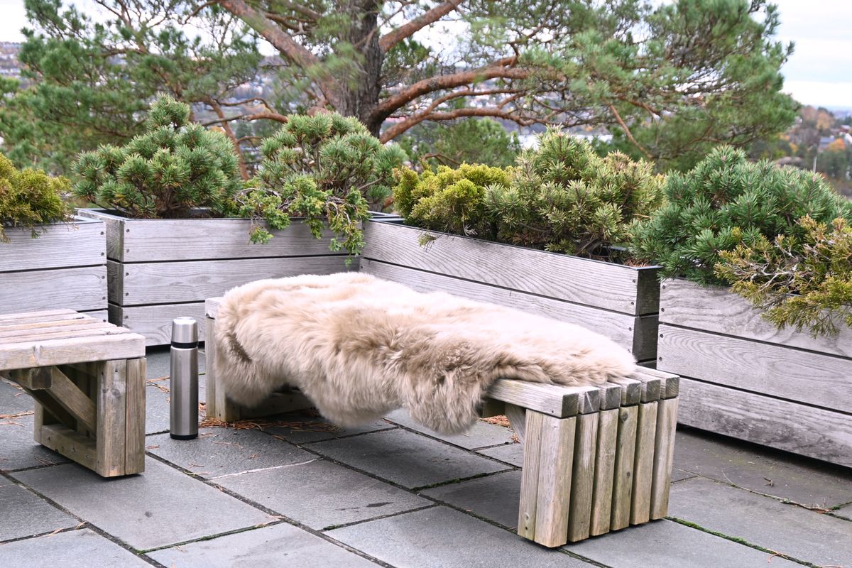 Skinnwille Gently saueskinn - beige